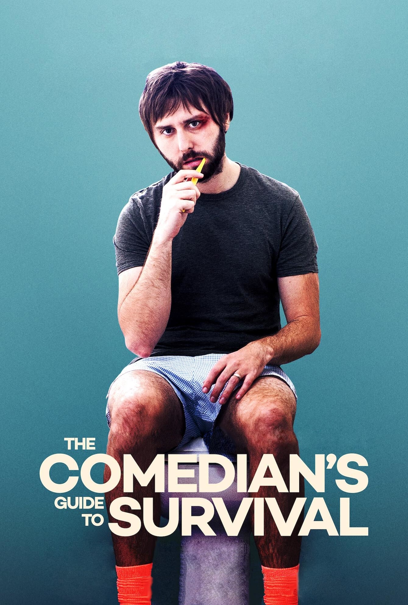 Постер The Comedian's Guide to Survival